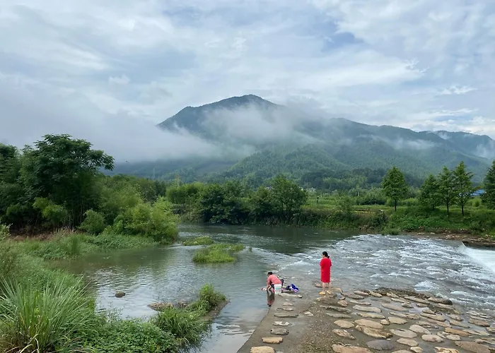 安吉 小森林 Little Forest Anji
