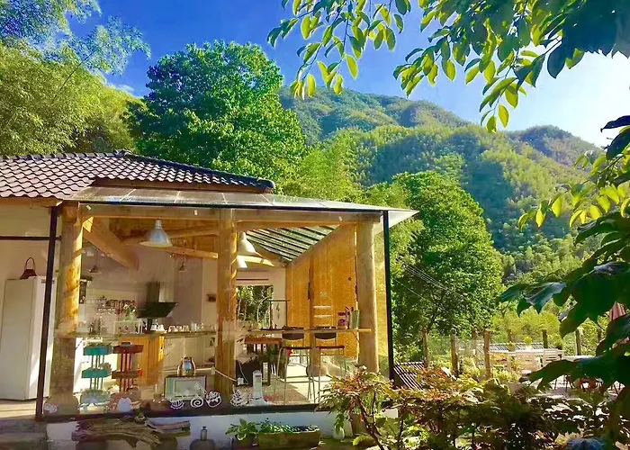 安吉 小森林 Little Forest Anji