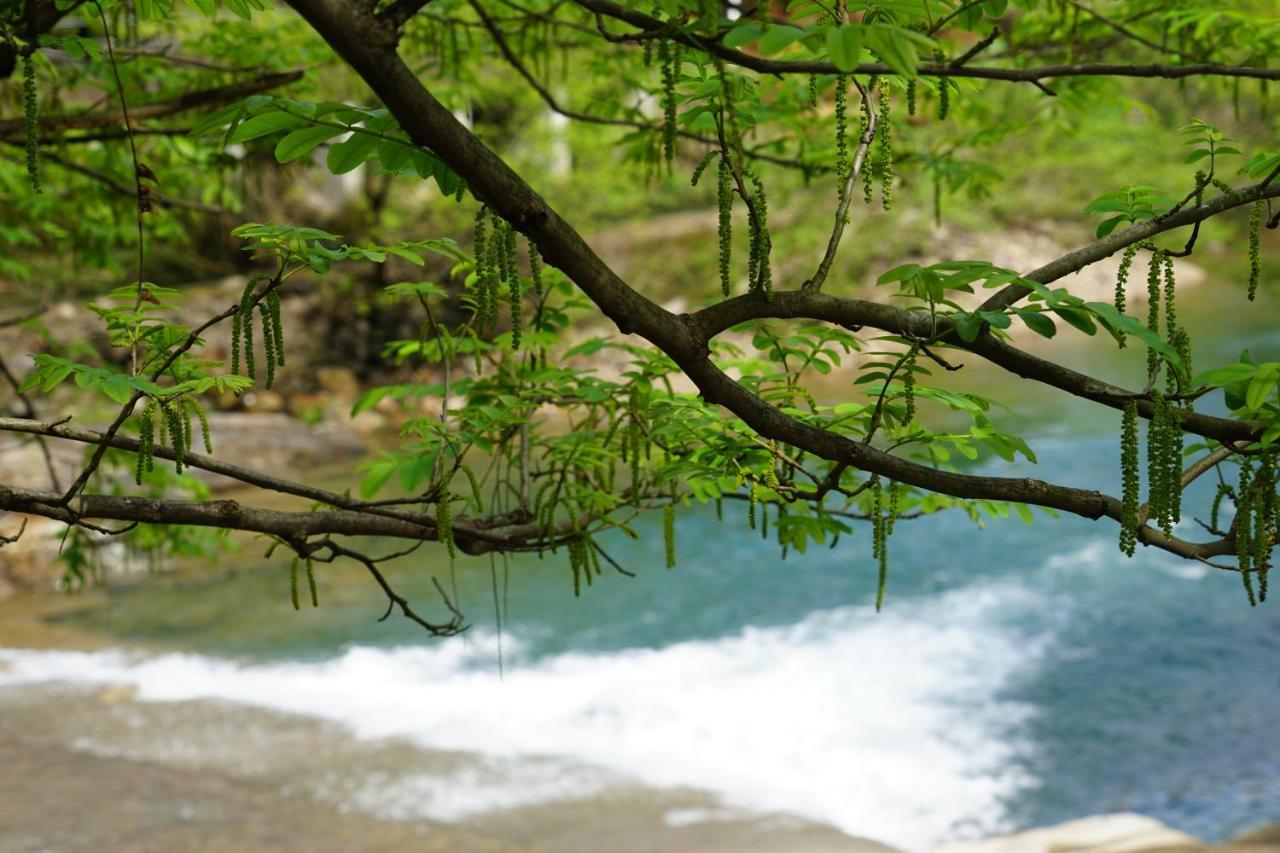 安吉 小森林 Little Forest Anji Country house