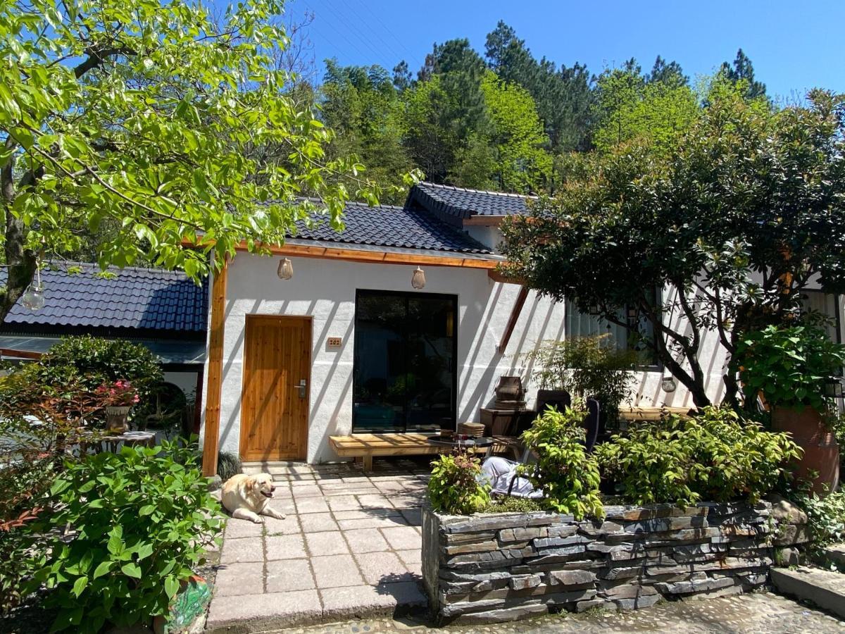 Country house 安吉 小森林 Little Forest Anji *