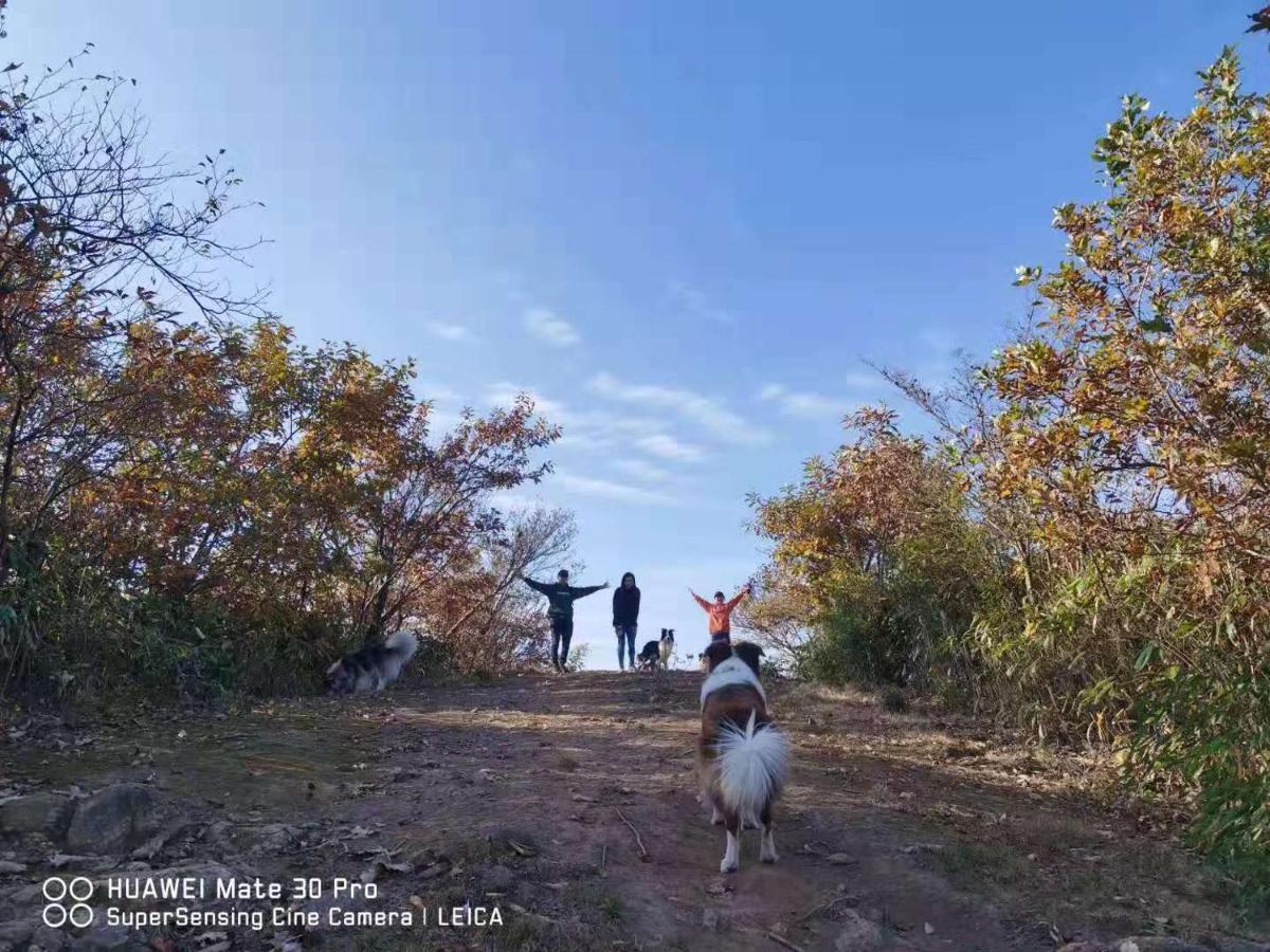 安吉 小森林 Little Forest Anji Country house