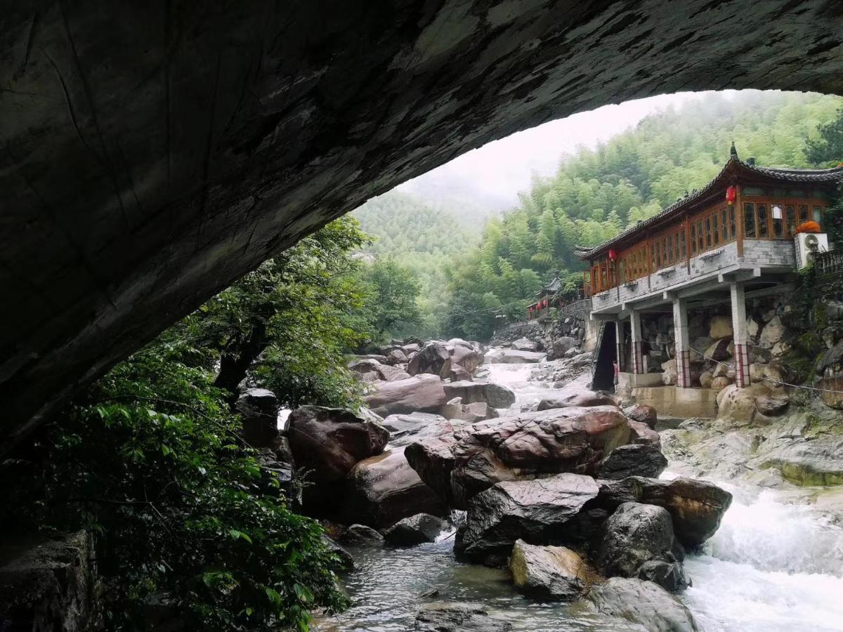 安吉 小森林 Little Forest Anji