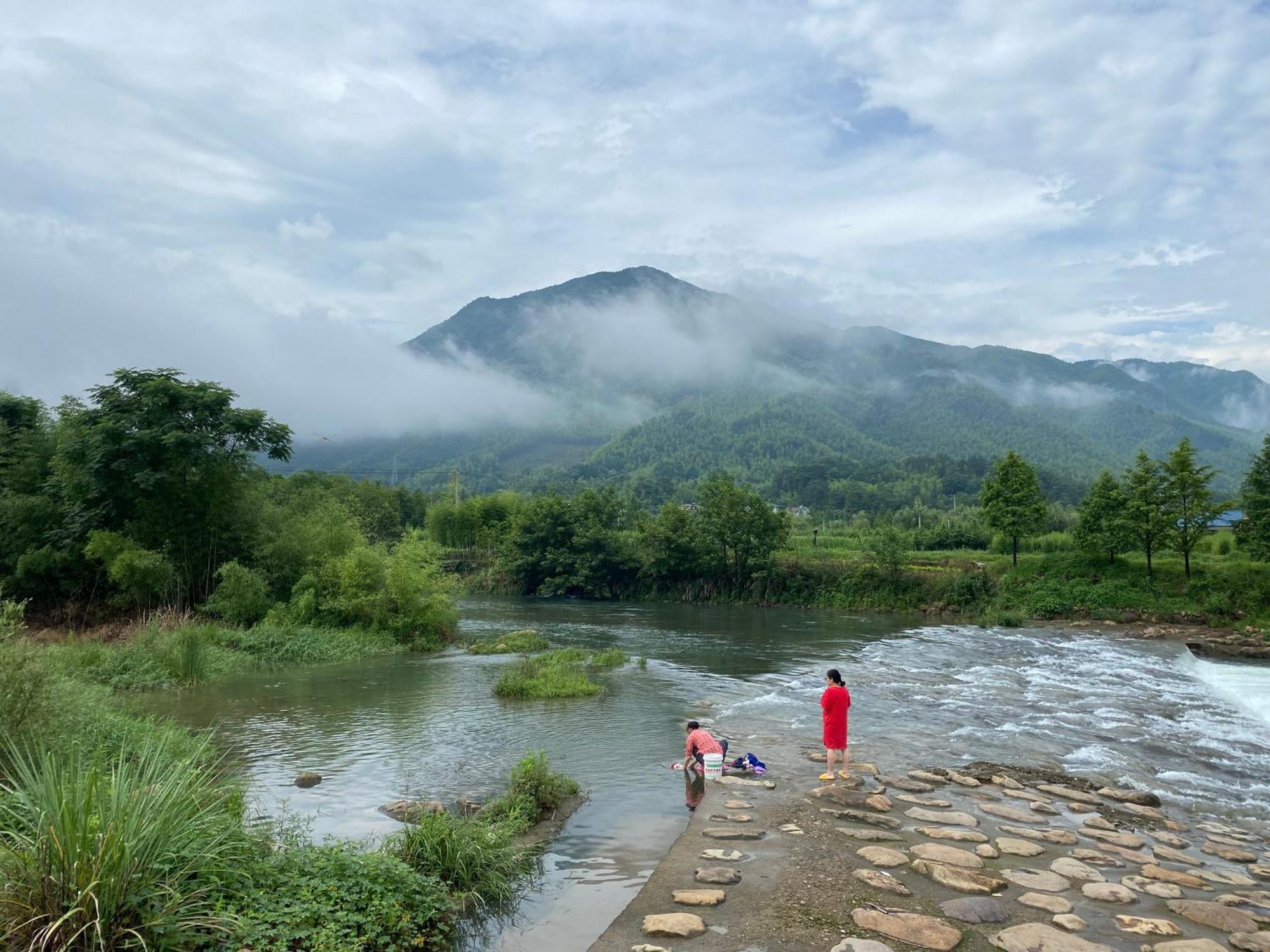 安吉 小森林 Little Forest Anji Anji