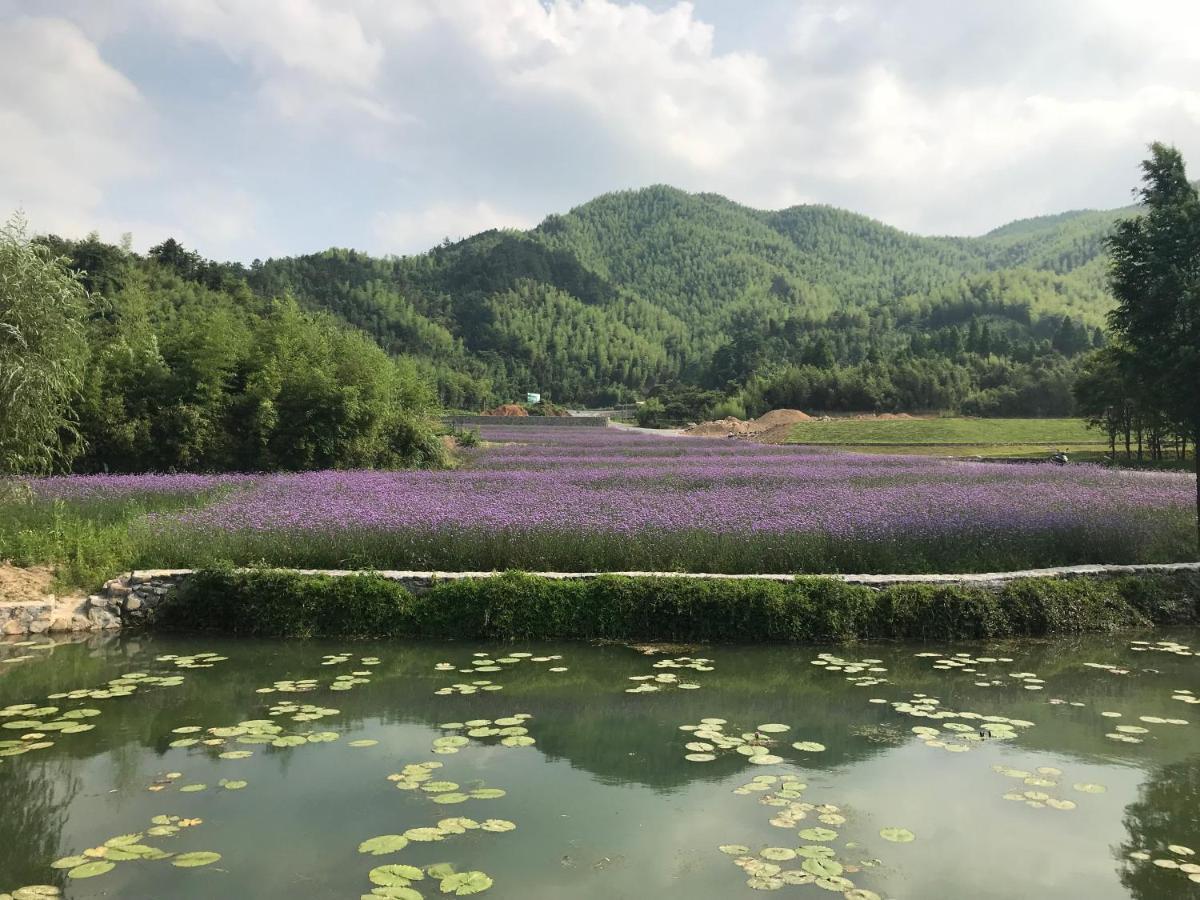 安吉 小森林 Little Forest Anji Country house Anji