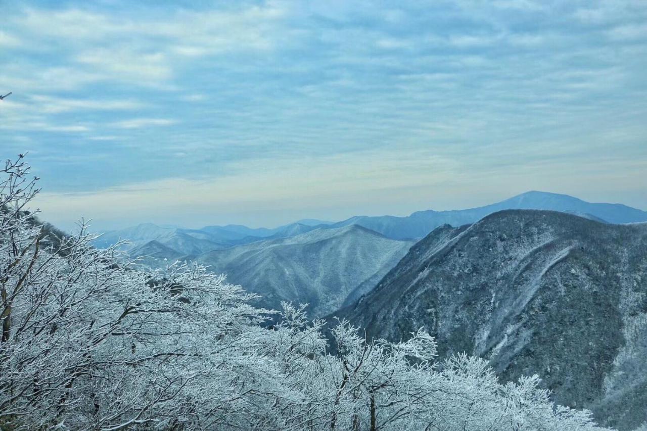 Country house 安吉 小森林 Little Forest Anji