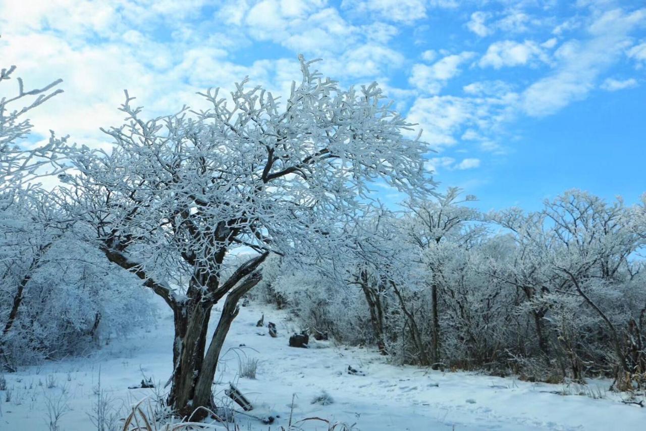 Country house 安吉 小森林 Little Forest Anji Anji